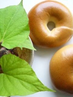A picture of Smooth Bagels Made With Homemade Bread Starter.