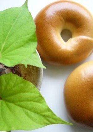 A picture of Smooth Bagels Made With Homemade Bread Starter.