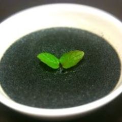 A picture of Easy and Delicious! Black Sesame Pudding.