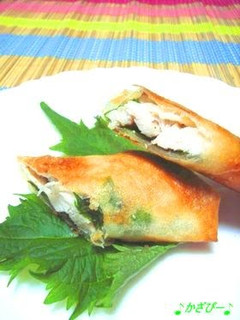 A picture of Chicken Spring Rolls with Salt-Cured Plum and Shiso Leaf.