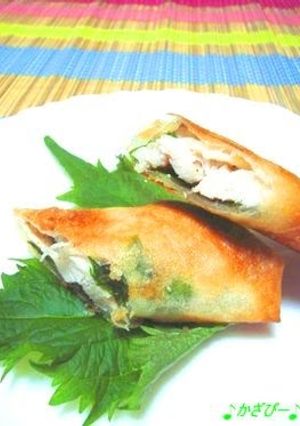 A picture of Chicken Spring Rolls with Salt-Cured Plum and Shiso Leaf.