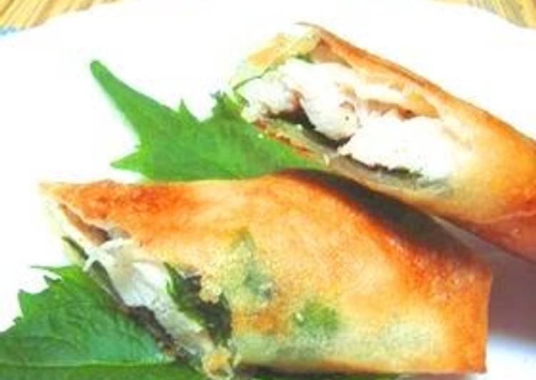 Simple Way to Prepare Award-winning Chicken Spring Rolls with Salt-Cured Plum and Shiso Leaf