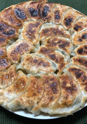 A picture of Juicy Pan-Fried Dumplings with Napa Cabbage and Garlic Chives.
