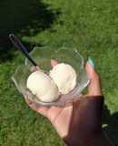 Vanilla ice cream (no whipping cream, no condensed milk)