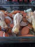 Pollo con zanahorias al horno