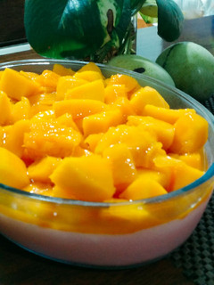 Foto resep Puding Tahu Mangga Seger