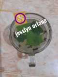 Minuman Herbal by jesslyn orlane