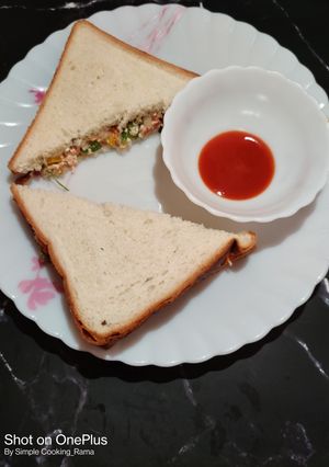 A picture of No Fire Veg Sandwich...