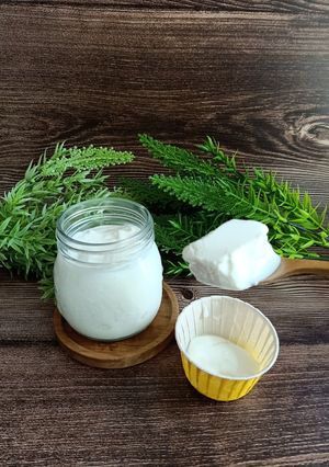 Foto resep Plain Yogurt Homemade
