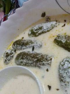 صورة لوصفة شيخ محشي (كوسا بلبن)