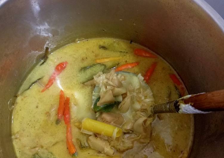 Langkah Mudah untuk Membuat Sayur lodeh nangka Anti Gagal