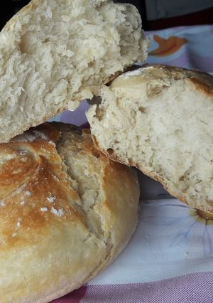 Una foto de Pan sin amasar, fermentación lenta y alta hidratación