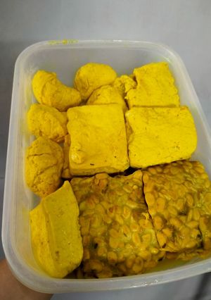 Foto resep Ungkep Tahu Tempe Ayam