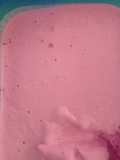 Es krim buah naga