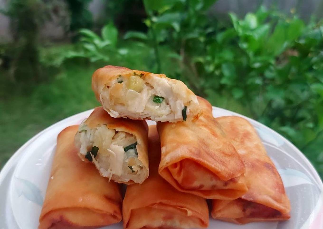 Chicken Pasta Spring Rolls