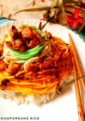 A picture of Singaporean rice.
