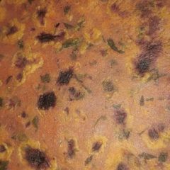 A picture of Methi Paratha.