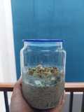 Overnight Oat