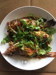 Foto resep Kerapu steam saus hongkong