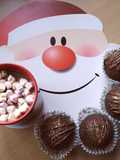 Vickys Hot Chocolate / Cocoa Bombs GF DF EF SF NF Vegan