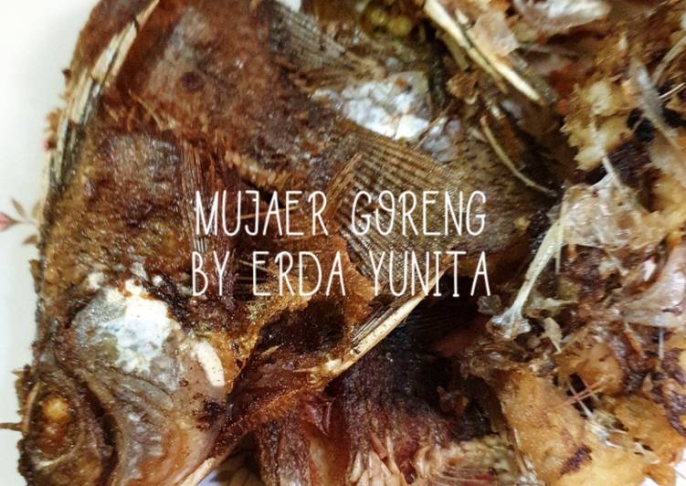 Resep Mujaer goreng | Cara Bikin Mujaer goreng Yang Enak Dan Mudah