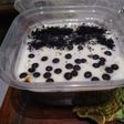 Puding coklat lembut