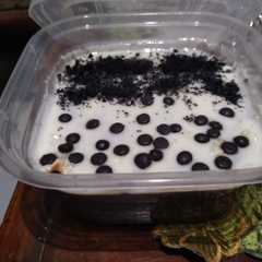 รูปของ Puding coklat lembut
