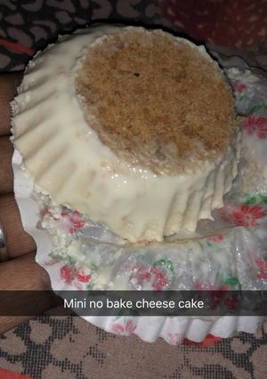 A picture of Mini no bake cheesecake.