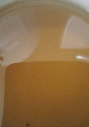 Una foto de Infusión de verbena y miel
