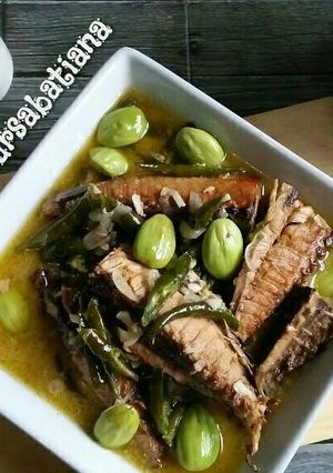 Foto resep Ikan Tongkol Santan Pedas