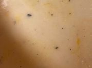 A picture of gratin potatoes