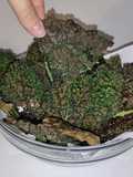 Che cavolo di chips!