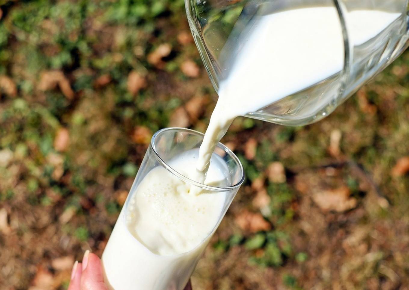 Horchata de semillas de calabaza