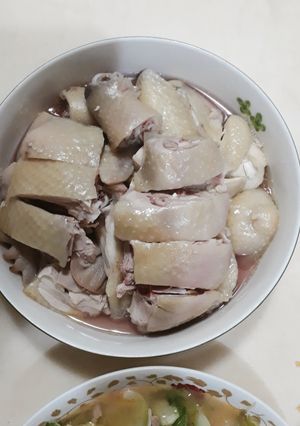 雞的跳搖之一 的食譜成品照片
