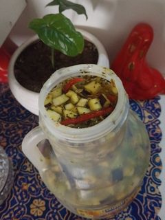 عکسی از دستور ترشی کال گوجه شمالی