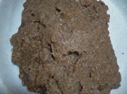 A picture of maize millet