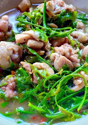 รูปของ แกงผักหวานใส่ไก่ หรือ แกงอ่อมไก่ใส่ผักหวาน