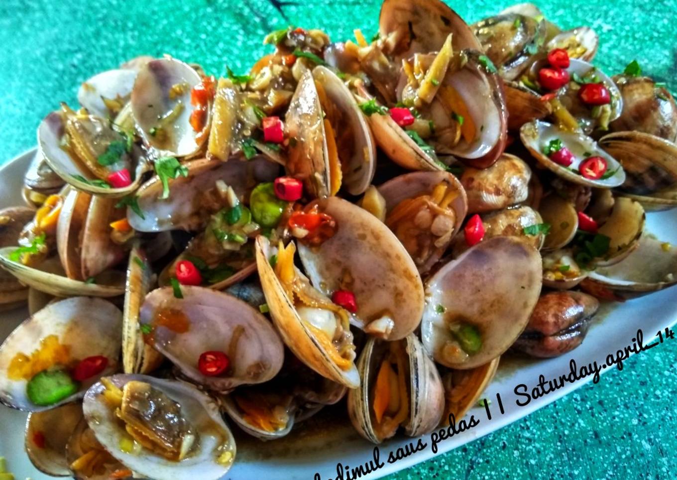 Kerang Kedimul saus pedas