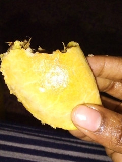 Gasasshen meat pie ainihin hoton girkin