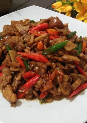 Foto resep Resep Orek Tempe Simple Enak Dan Sederhana