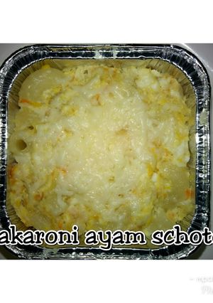 Foto resep Makaroni ayam schotel