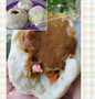 Cara Gampang Menyiapkan Resep Bakpao Ayam saos Kacang yang Sempurna Anti Ribet, Menggugah Selera