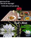 Bánh trứng tổ chim Tôm rang me Cá hồi chiên xù sốt cam