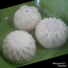 A picture of Whosayna’s Sichuan Coconut Pudding.