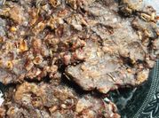 A picture of ragi flour breakfast