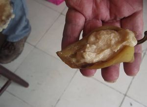 Una foto de Chile güero relleno de pure de platano y hummus