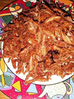 Foto resep Teri Balado