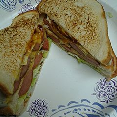 A picture of Pan fried hotdog sandwich.