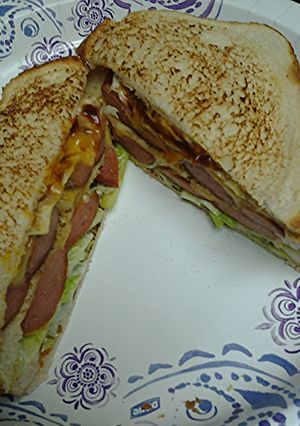 A picture of Pan fried hotdog sandwich.