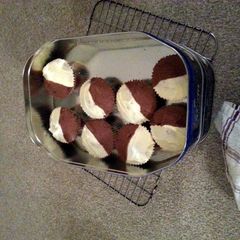 A picture of vanilla and chocolate marble cupcakes.